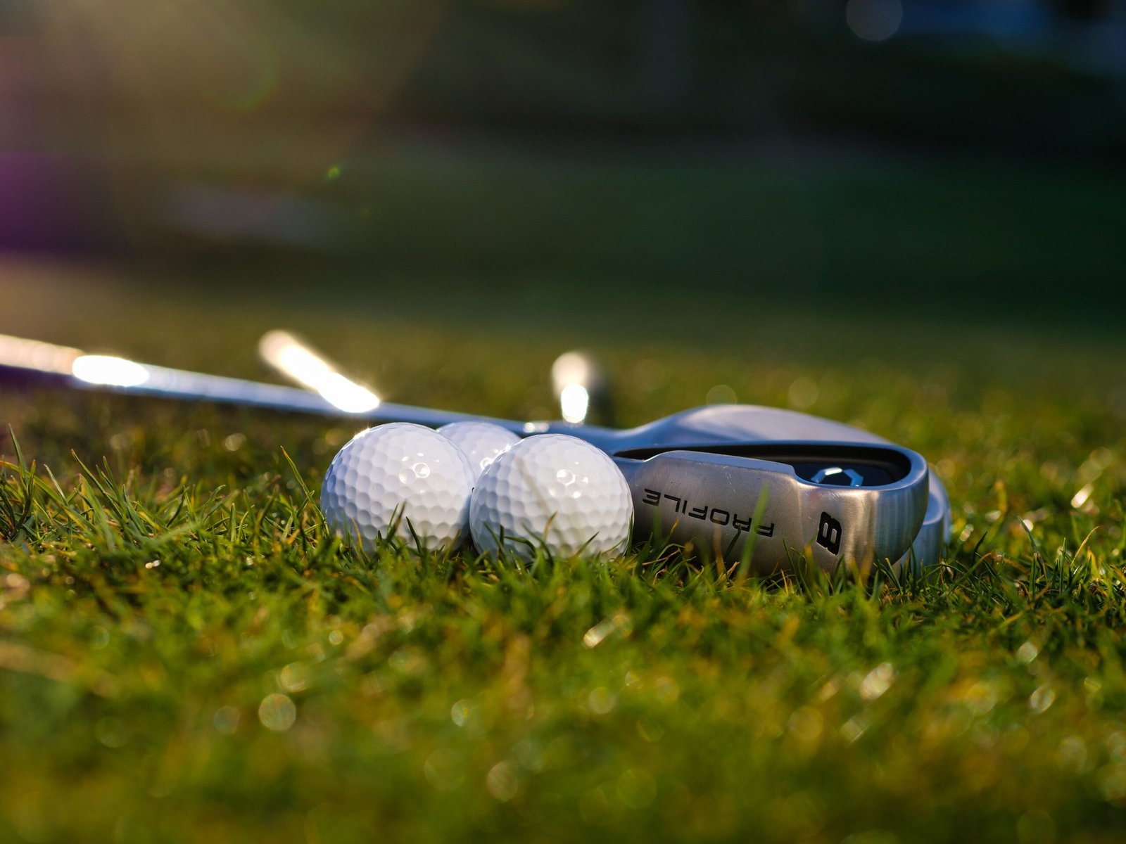 dp golf tour leaderboard